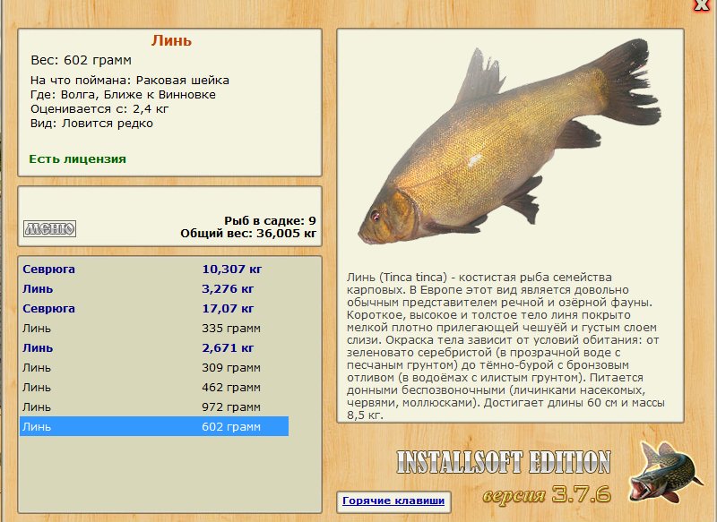 Ближе к Винновке 