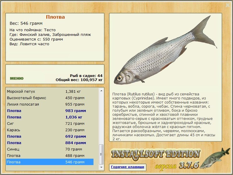 Заброшенный пляж 