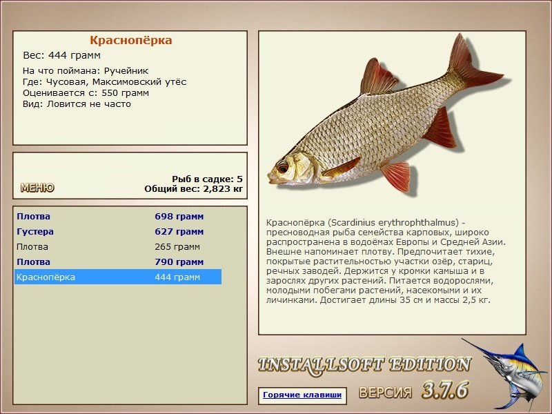 турниры • РУССКАЯ РЫБАЛКА