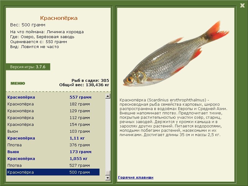турниры • РУССКАЯ РЫБАЛКА