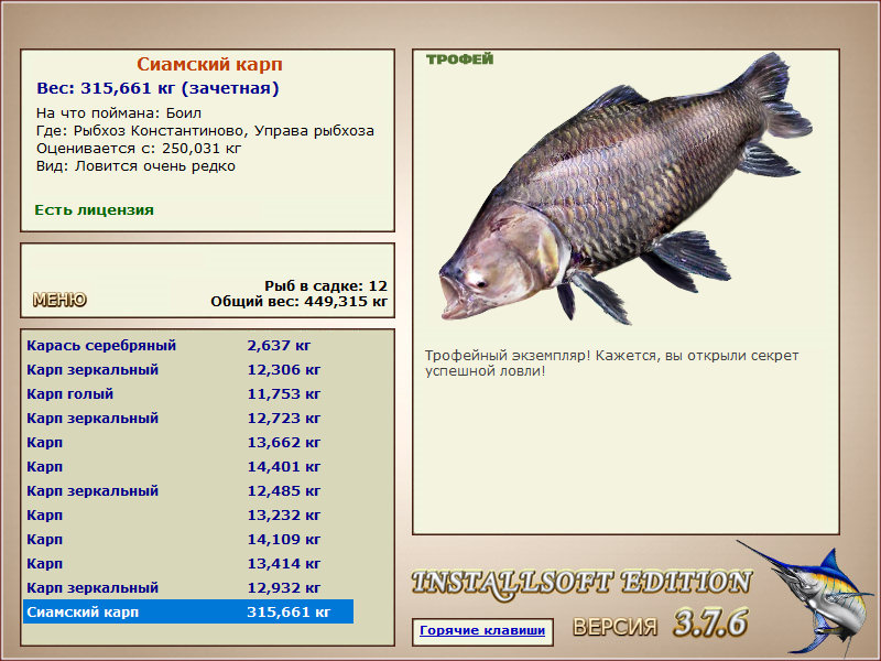 Сиамский карп 