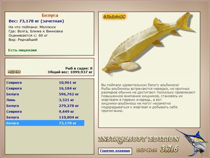 Ближе к Винновке 
