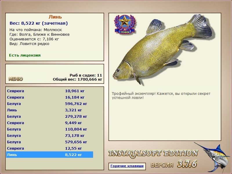 Ближе к Винновке 