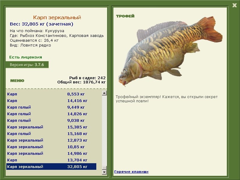 Карповая заводь 