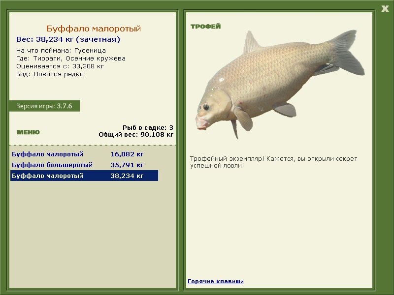 Осенние кружева 