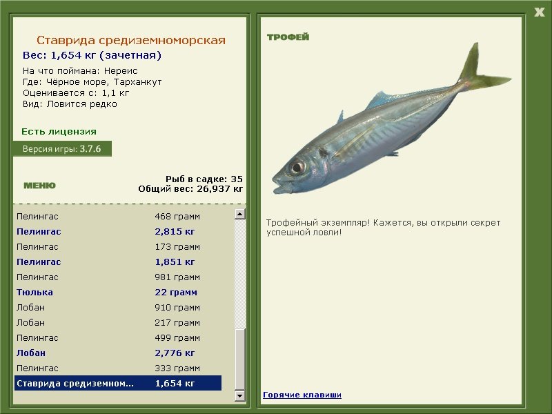Тарханкут 
