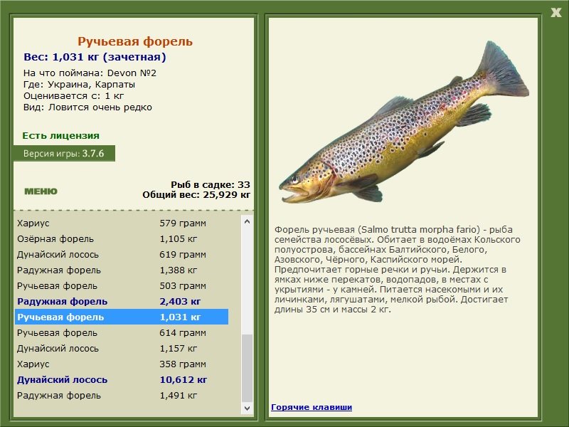 турниры • РУССКАЯ РЫБАЛКА