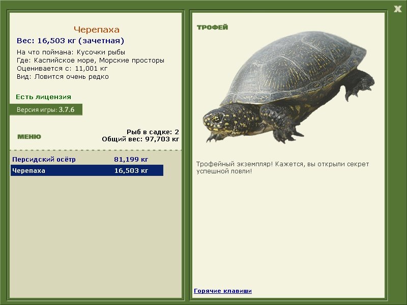 Морские просторы 