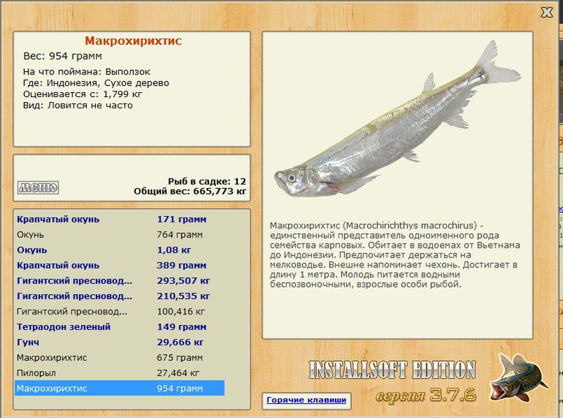 Сухое дерево 