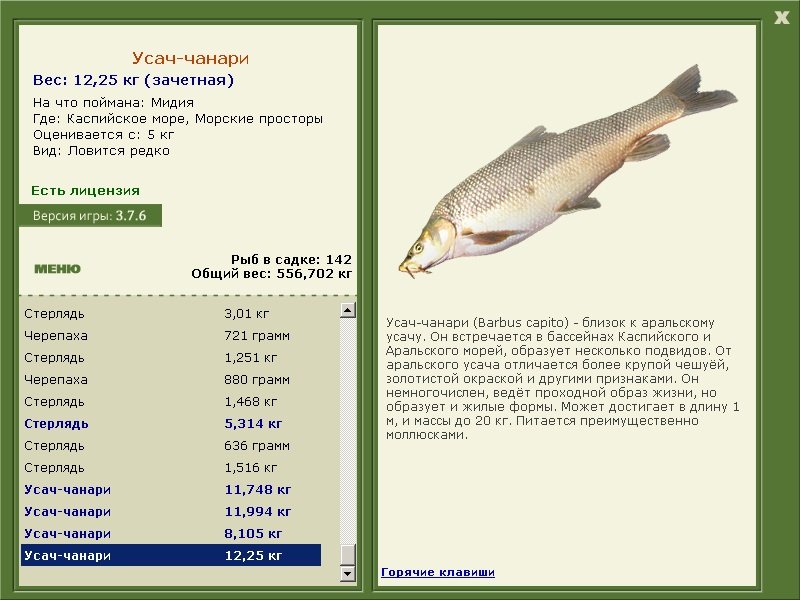 турниры • РУССКАЯ РЫБАЛКА