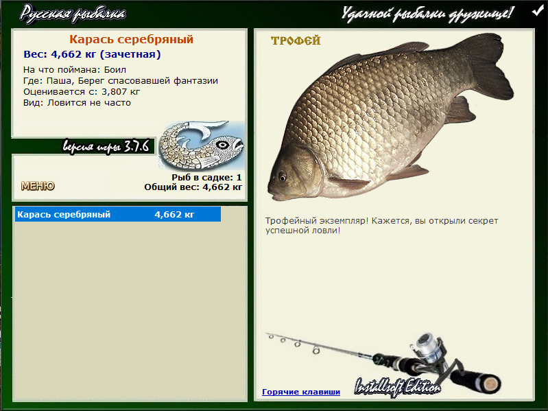 Карась серебряный 