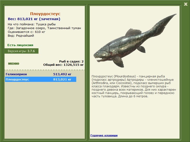 Таинственный туман 