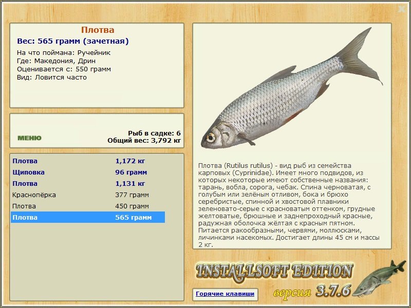 Дрин 