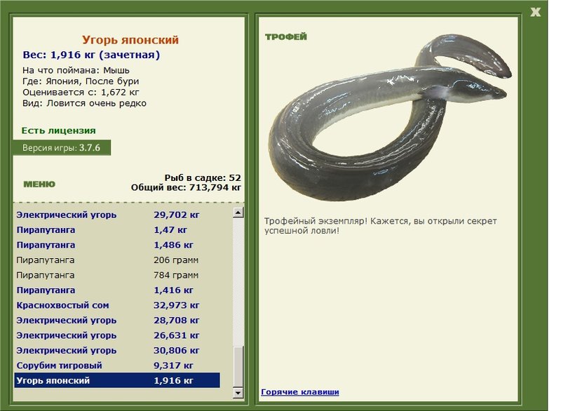 Угорь японский 