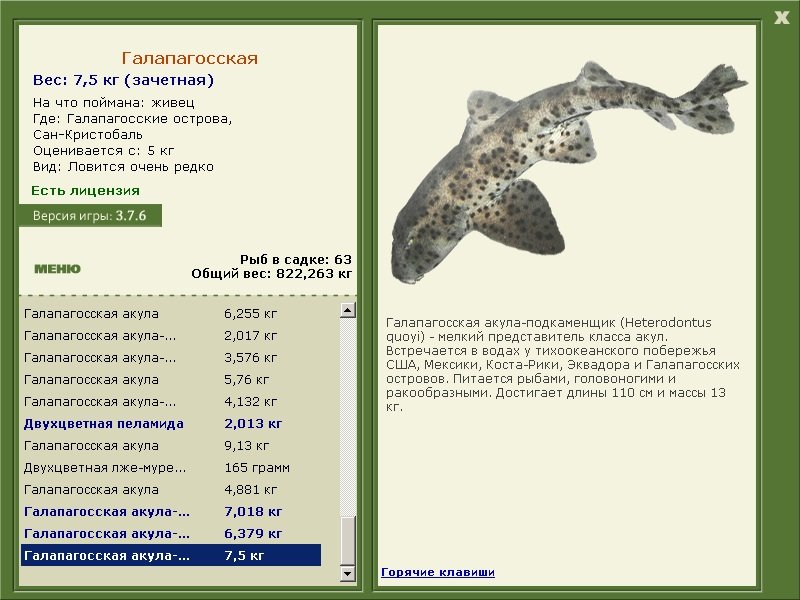 турниры • РУССКАЯ РЫБАЛКА