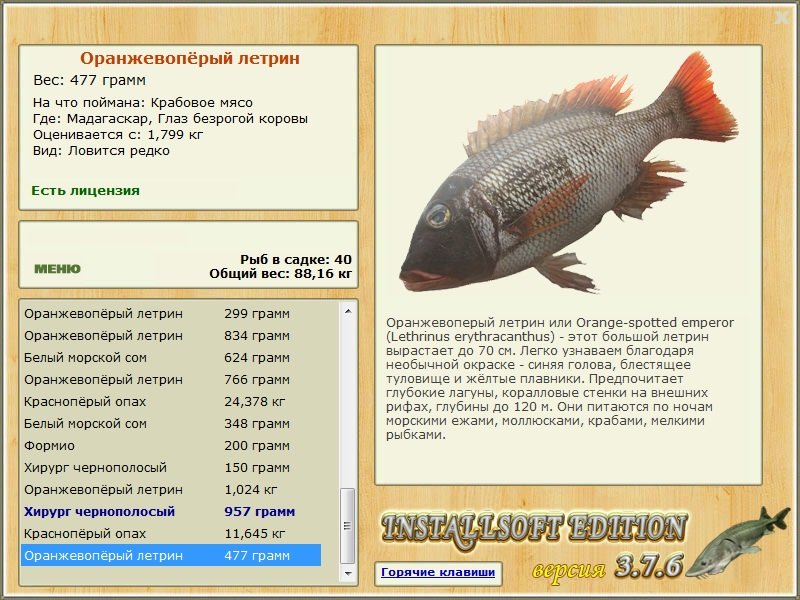 Глаз безрогой коровы 