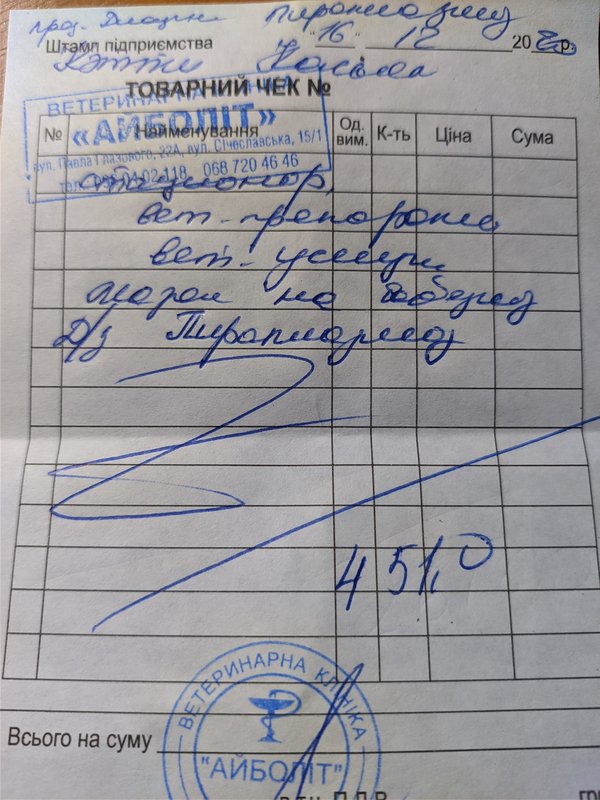 Финансовый отчет Кэтти (щенок с пироплазмозом) 