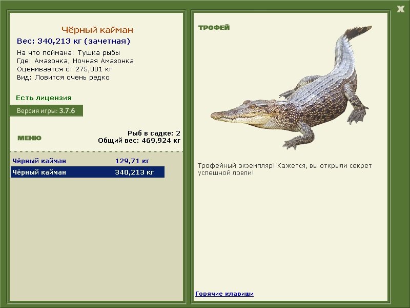 Ночная Амазонка 