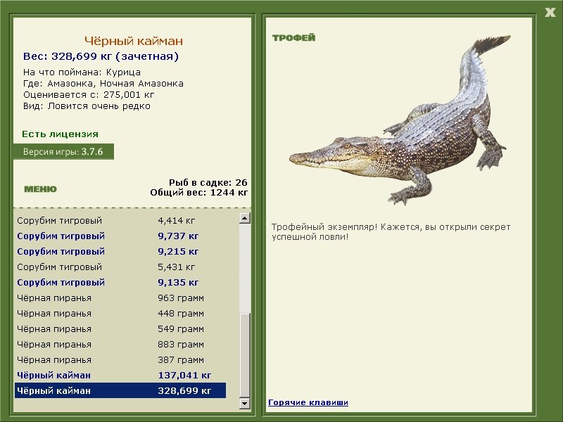 Ночная Амазонка 