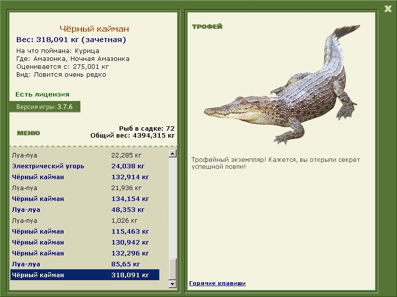 Ночная Амазонка 