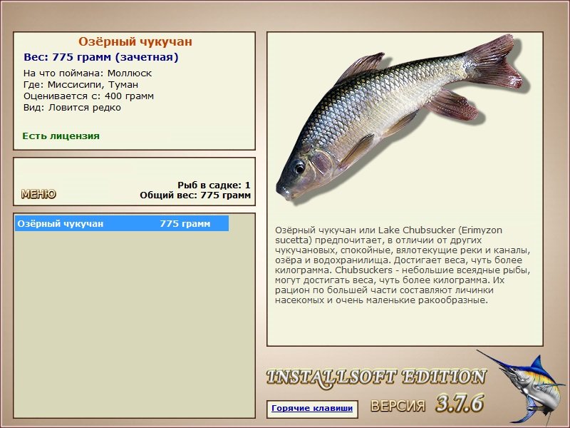Туман 