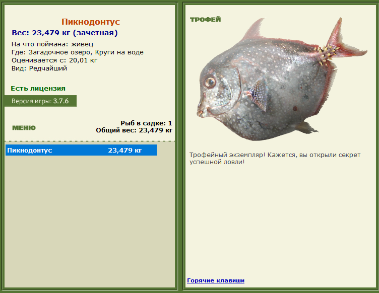 турниры • РУССКАЯ РЫБАЛКА
