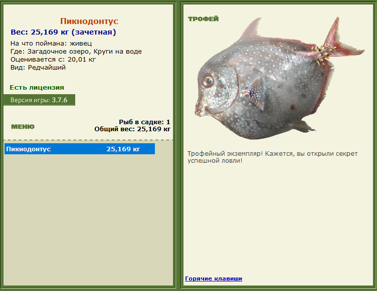 турниры • РУССКАЯ РЫБАЛКА