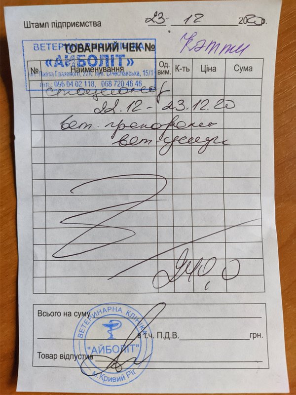 Финансовый отчет Кэтти (щенок с пироплазмозом) 