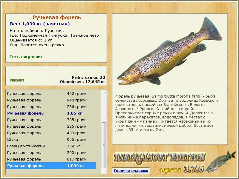 Таёжное лето 