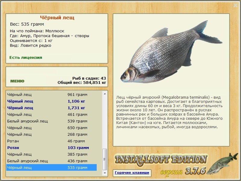  створы • Амур • РУССКАЯ РЫБАЛКА