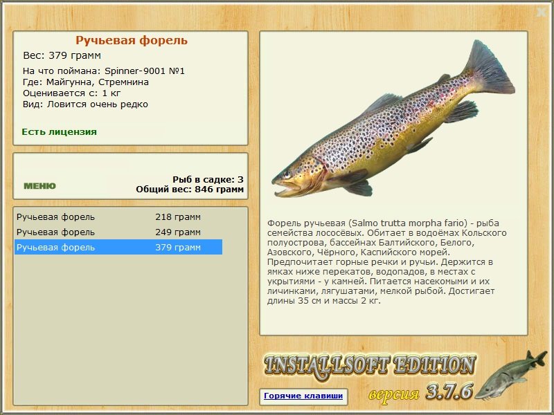 Стремнина 