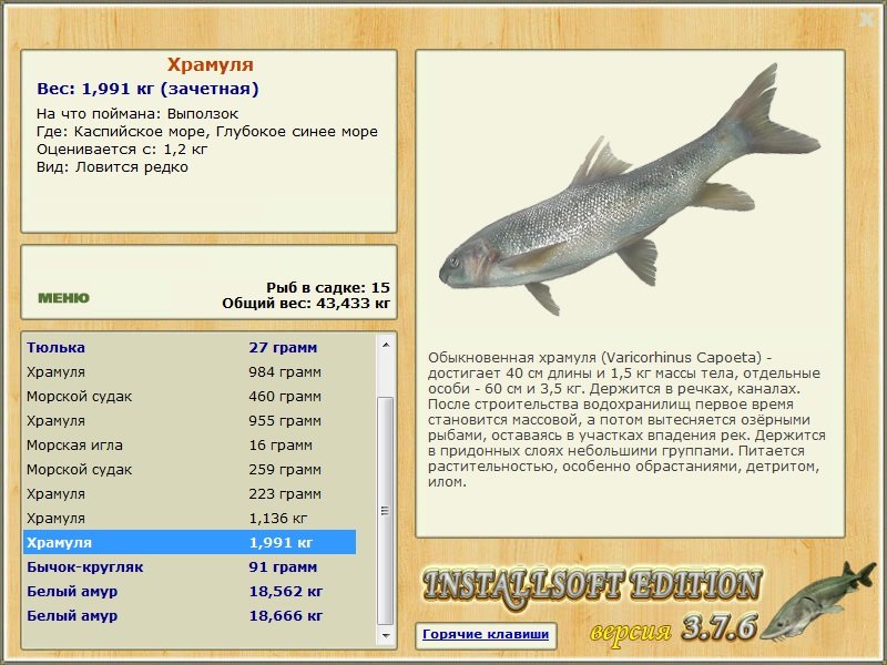 Каспийское море 