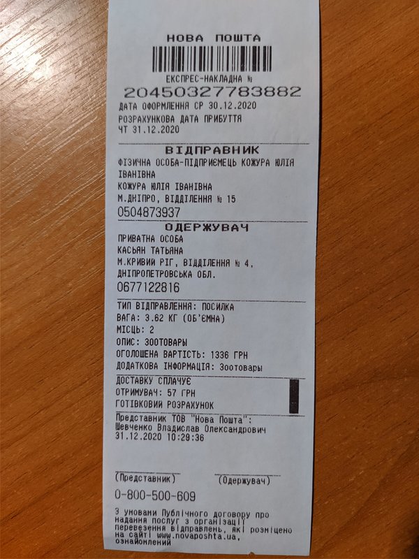 Финансовый отчет Кэтти (щенок с пироплазмозом) 