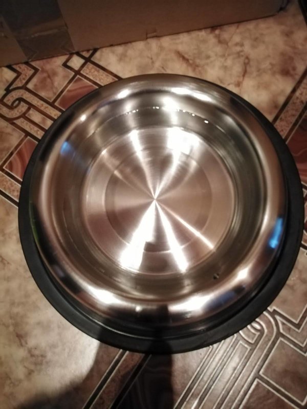 Финансовый отчет Кэтти (щенок с пироплазмозом) 