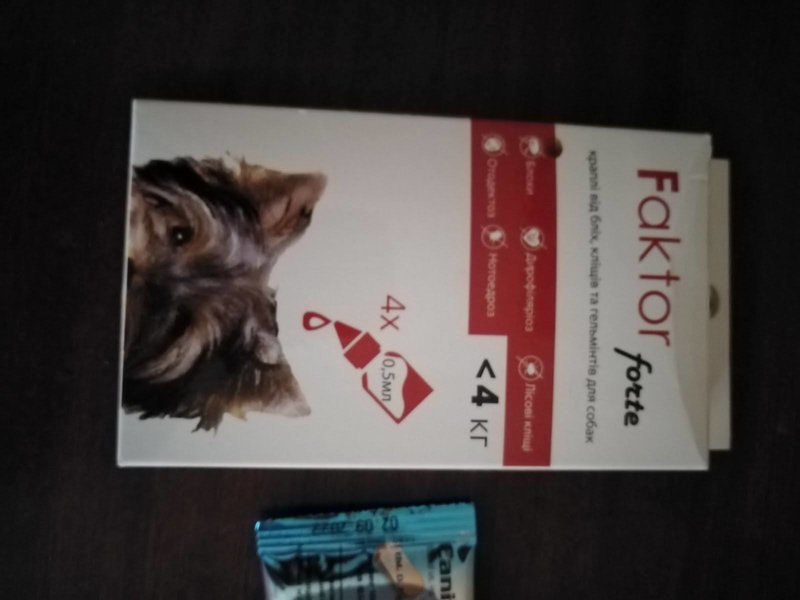 Финансовый отчет Кэтти (щенок с пироплазмозом) 