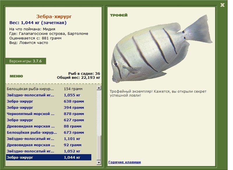 хирург • Рыбы • РУССКАЯ РЫБАЛКА
