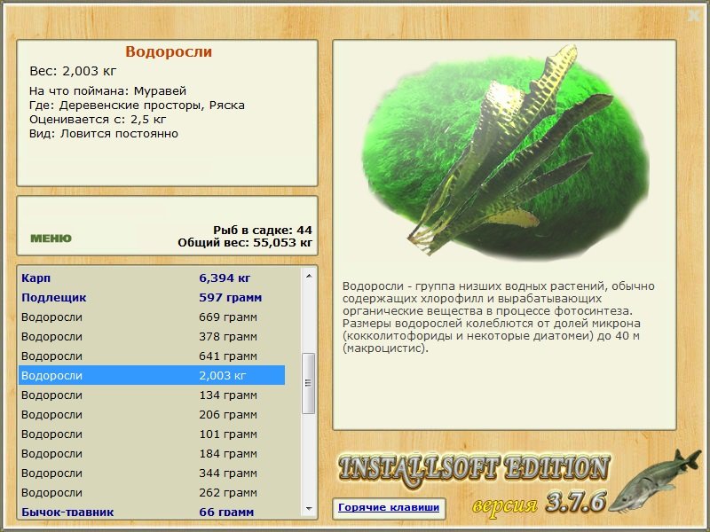 Деревенские просторы 