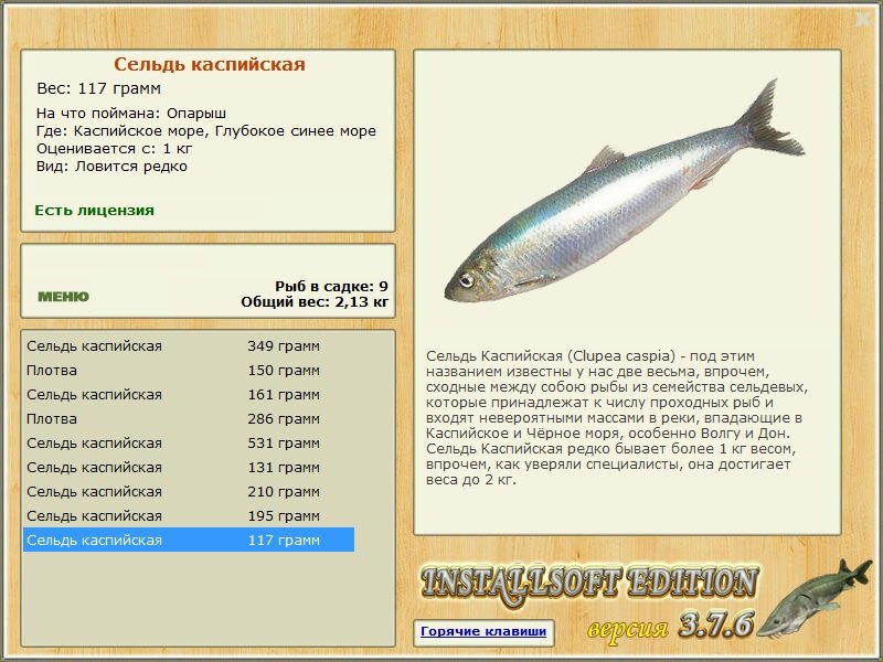 Глубокое синее море 