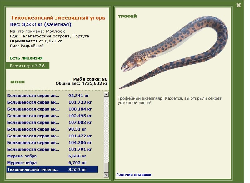 Тихоокеанский змеевидный угорь 