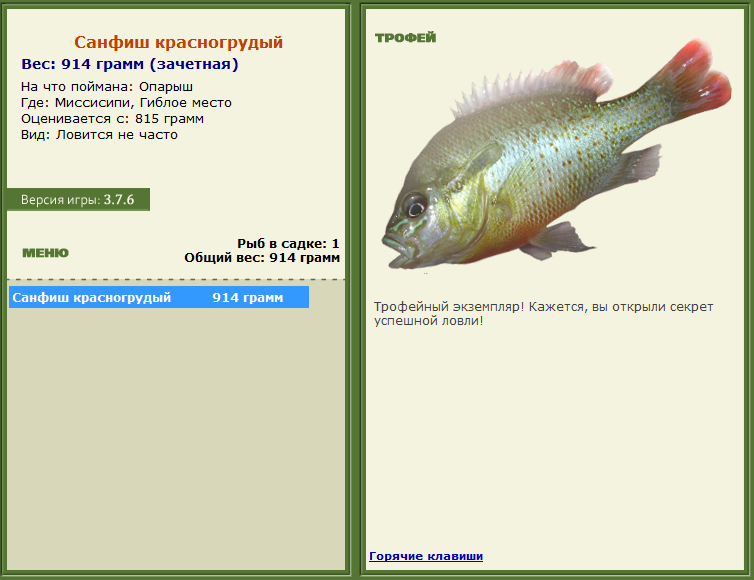 турниры • РУССКАЯ РЫБАЛКА