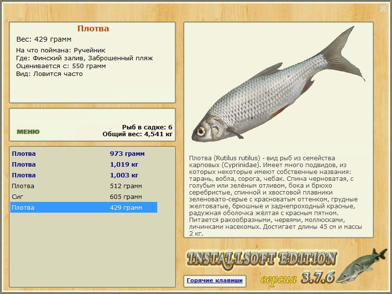 Заброшенный пляж 