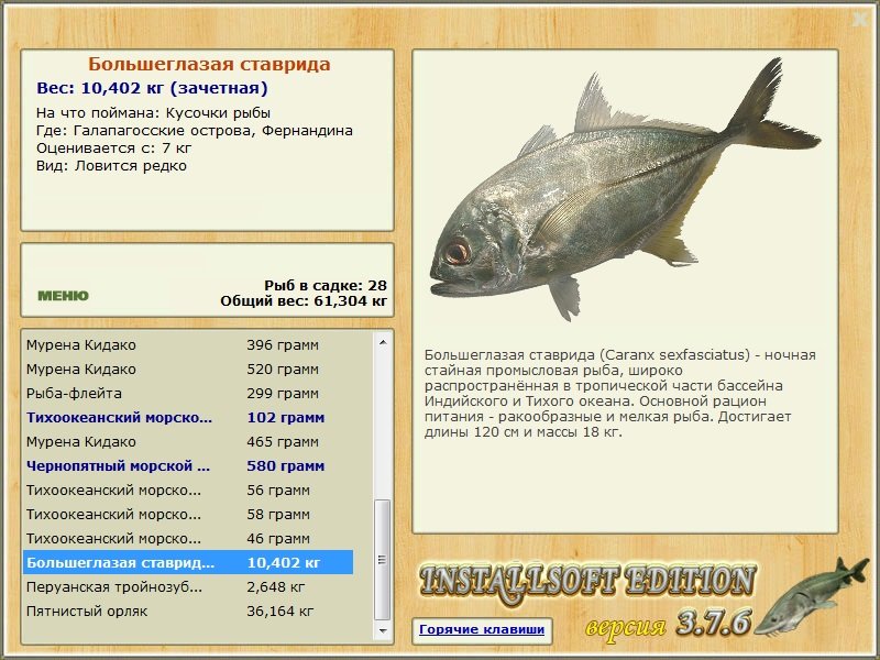 Фернандина 