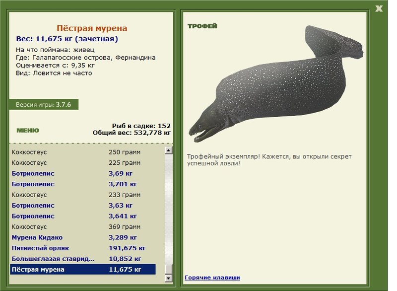 Пёстрая мурена 