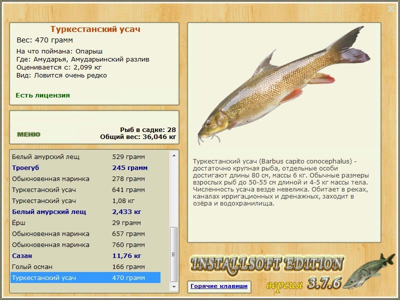 Амударьинский разлив 