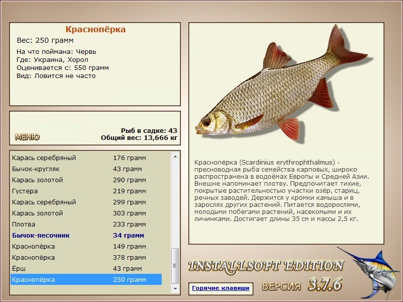 турниры • РУССКАЯ РЫБАЛКА