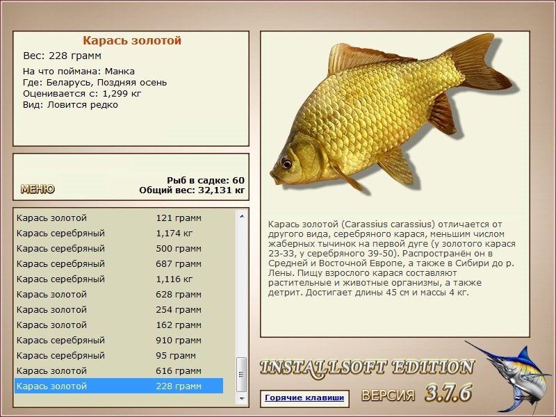 Поздняя осень 
