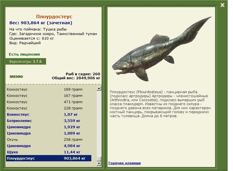 Плоурдостеус 