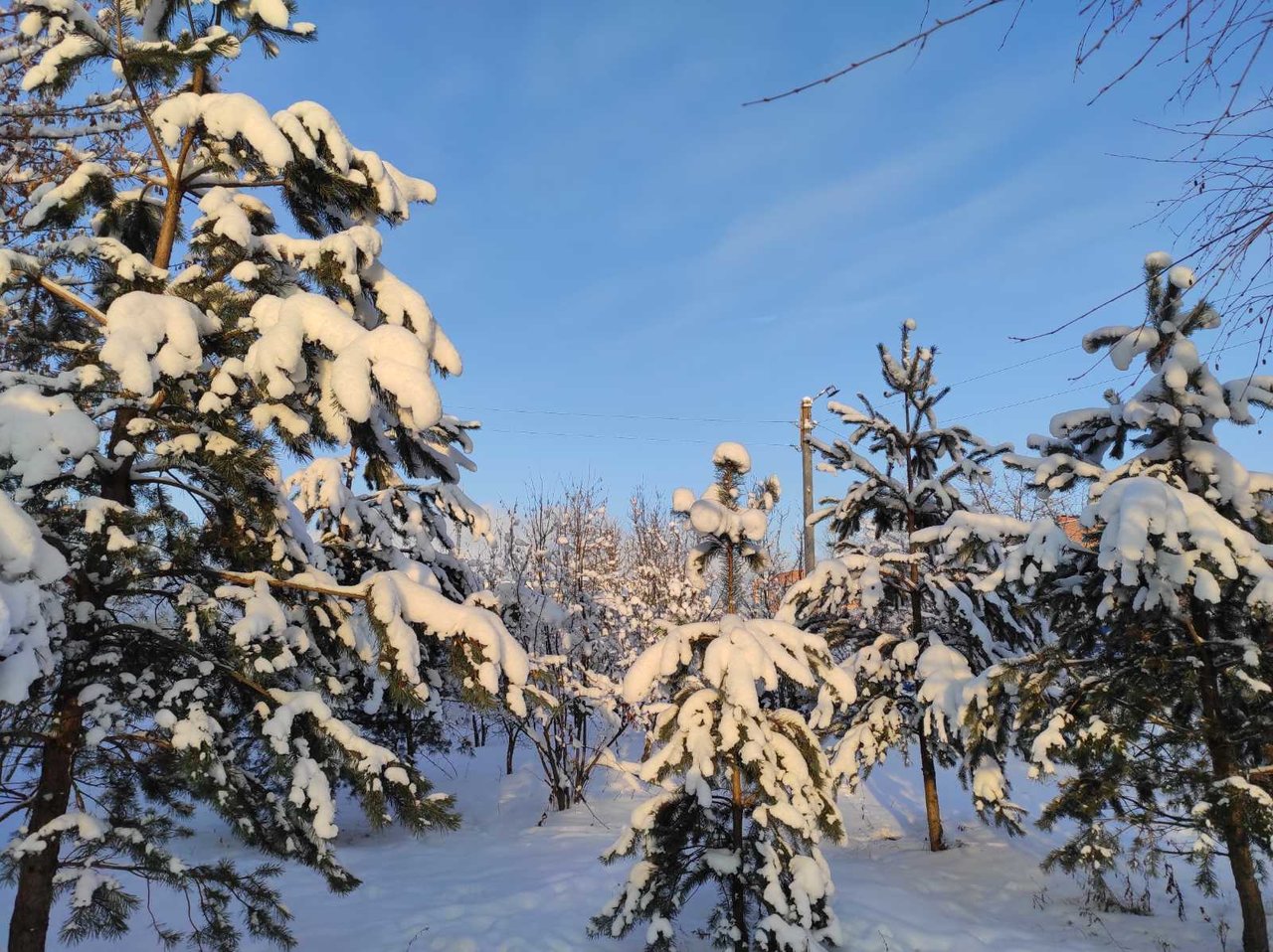 КРАСОТА