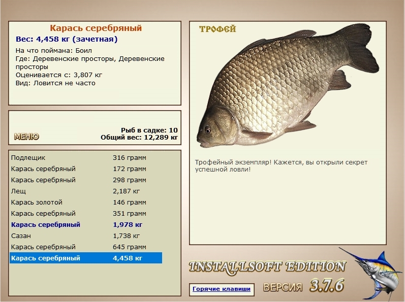 Деревенские просторы 