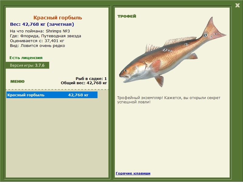 Shrimps 